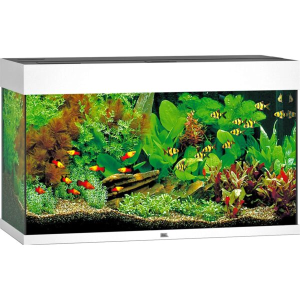 Juwel Aquarium Rio LED Weiß 125 l