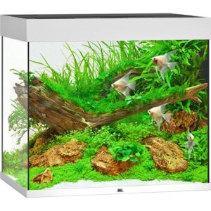 Juwel Aquarium Lido LED Weiß 200 l