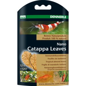 Nano Catappa Leaves Seemandelbaumblätter