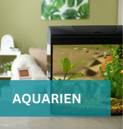 Aquarien