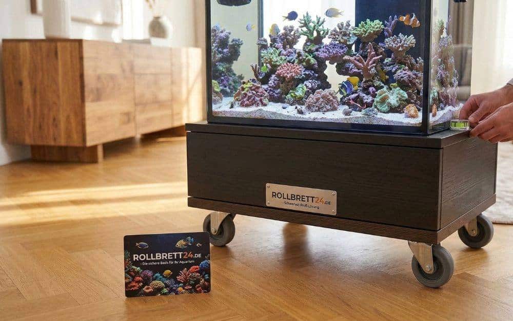 Rollbrett24: Warum Aquarianer bei schweren Becken auf Profi-Lösungen setzen